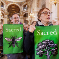 St Paul’s Inside 1.3.25 Crispin Hughes 1 