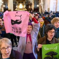 1E730AD8-306B-4344-87D3-ED13D1B34A19_1_105_c 