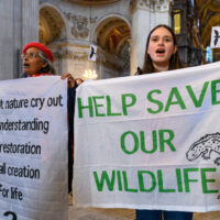 St Paul’s Inside 1.3.25 Andrea Domeniconi 5 