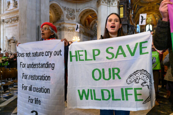 St Paul’s Inside 1.3.25 Andrea Domeniconi 5