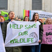 St Paul’s Outside 1.3.25 Andrea Domeniconi 12 