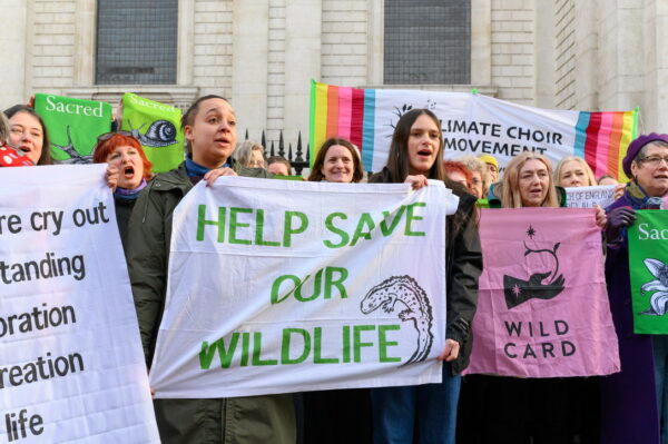 St Paul’s Outside 1.3.25 Andrea Domeniconi 12