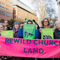 St Paul’s Outside 1.3.25 Crispin Hughes 2 